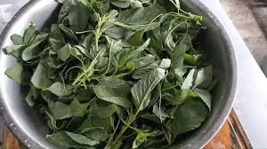 African food habits amaranth